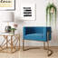 Velvet Barrel Chair