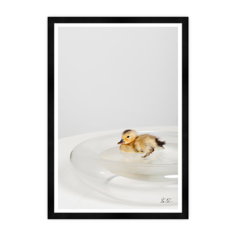 Duck Pond Print by Tim Klein