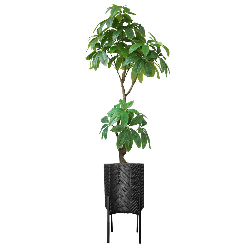 Pachira artificiel en pot 87,5 po Hickey