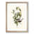 Oak Framed selected