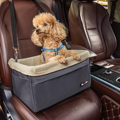 Siège d'auto pour chien