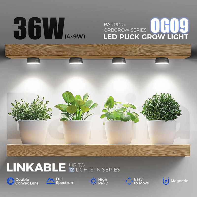 Barrina Orbgrow Og09 Puck Led Grow Light, 5000k 36w, éclairage de plantes pour plantes d'intérieur à spectre complet, 4 paquets, noir