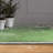 Divyan Floral Indoor Rug