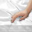 My Home Store-Cotton Flat Sheet-Soft and Breathble flat sheet-Summer sale-1229609425-1229609435