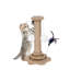 Armoire en noyer avec chat - Décoration intérieure polyvalente, espace privé, lit Mid-Century Vibe Pet Care, finition fonctionnelle et élégante