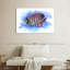 Aquarelle, poisson-ange royal-975191327