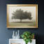 «Trees In The Fog II», reproduction encadrée de qualité supérieure - prête à être accrochée-276558443-276530692-276530691