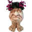 Statue de Muggly's Grumpy Gramps-1925864984-1925864981