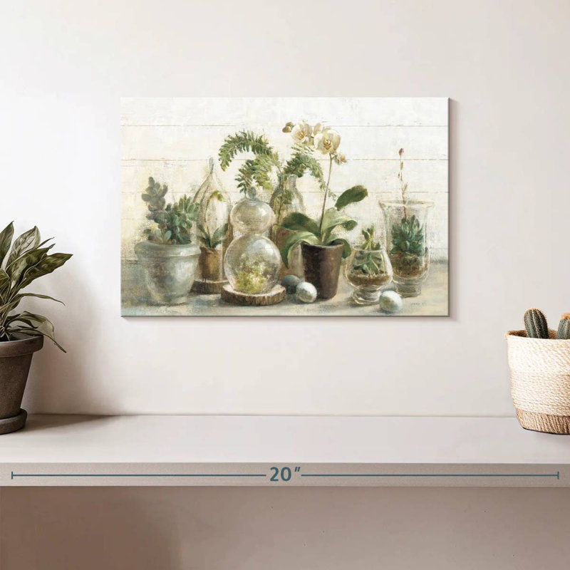 Orchidées Harnek Greenhouse I, H 8 po x l 12 po