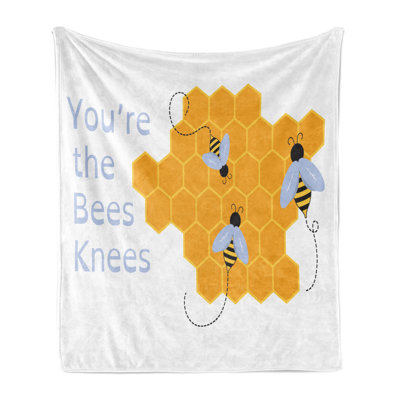 Ambesonne Honey Bee Fleece Throw Blanket You are the Bees Knees Orange Ceil Blue