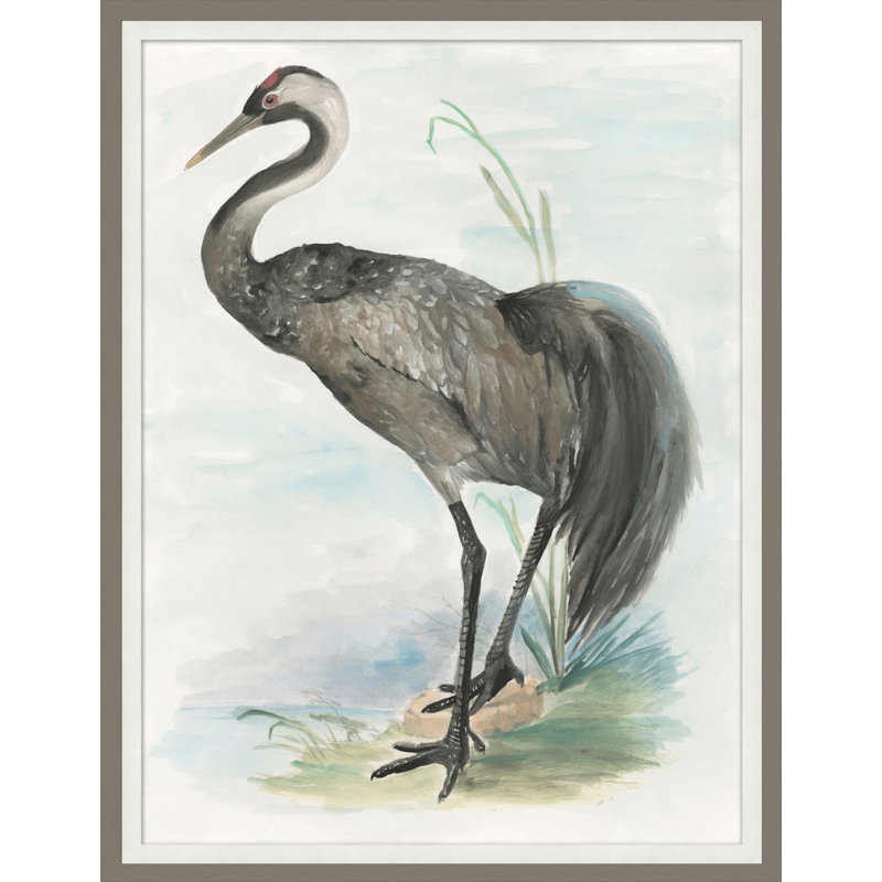 Waterbird 4 Print