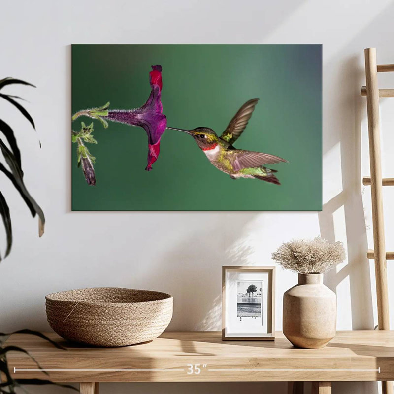 Nectar Brampt suçant un colibri, H 16 po x l 24 po