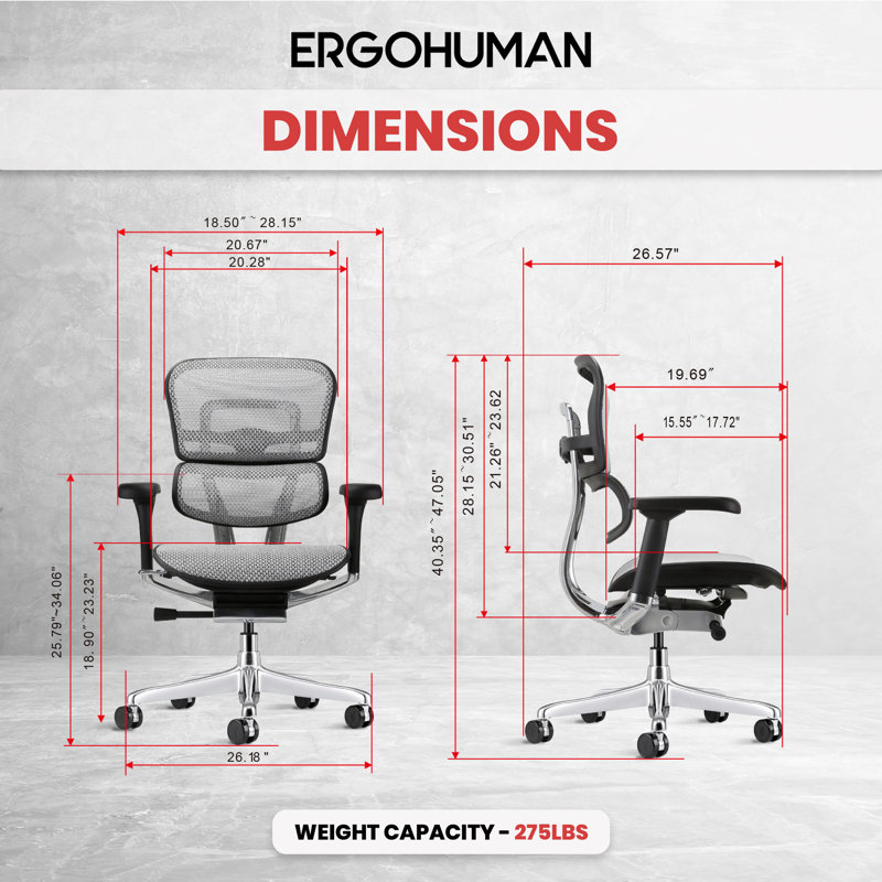 Ergohuman Task Chair, Gray - Generation 2
