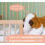 Baby Cot Toni with Junior Function-93577819-93577821