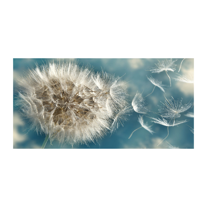 Dandelions - No Frame Print on Canvas