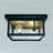 2-Light Outdoor Flushmount