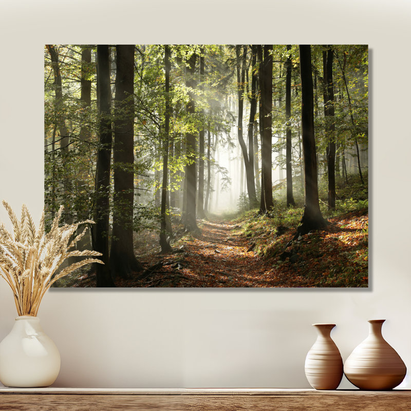 «Green Fall Forest with Sun Rays - Forest», reproduction de photo, H 30 po x l 40 po, Toile tendue, Sans cadre