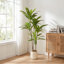 Faux Dracaena Tree Plant in Cement Freestanding  Planter-1502214236-1502214238