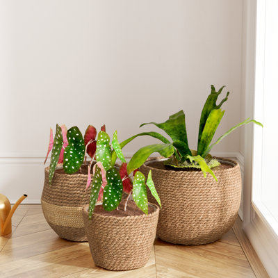 Marnie Pot Planter 3-Piece Set
