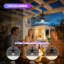 20-Inch Outdoor Plug-In Hanging Caged Ceiling Fan with LED Light, Remote and App Control, Black-76818318-76818317