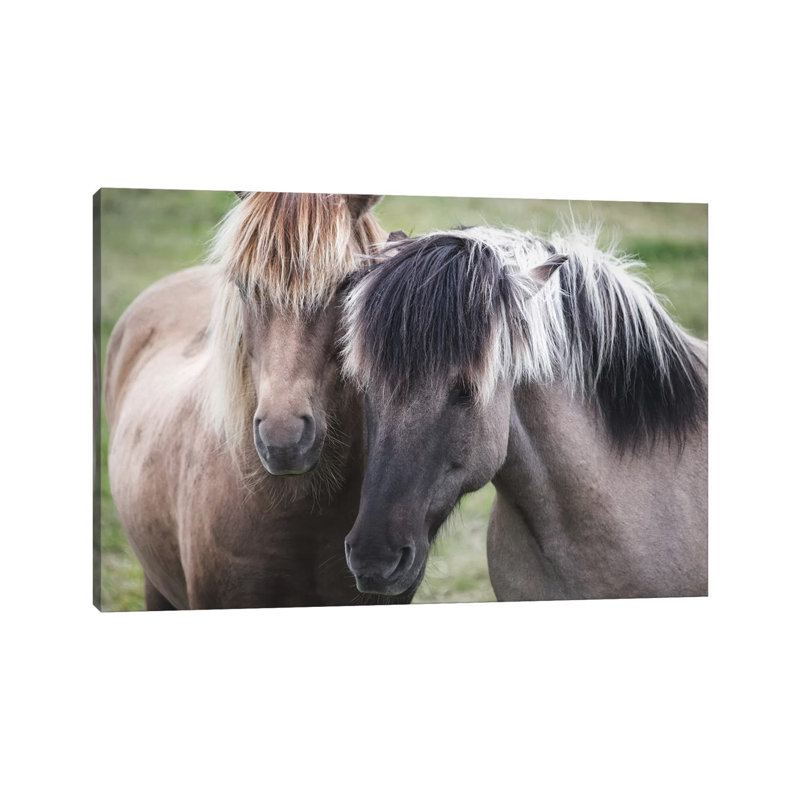 Dynamic Duo by MScottPhotography - Wrapped Canvas Gallery-Wrapped Canvas Giclée, 20.32 cm H x 30.48 cm W