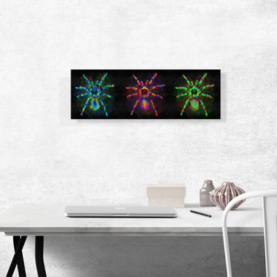 «Three Tarantula Spiders», reproduction d'art sur toile tendue