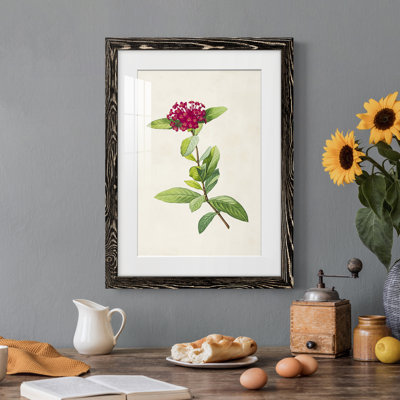 «Pretty Botanicals II», cadre photo