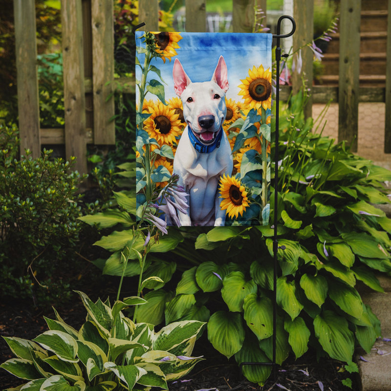 Lévrier irlandais dans le drapeau du jardin de tournesols, Bull terrier anglais