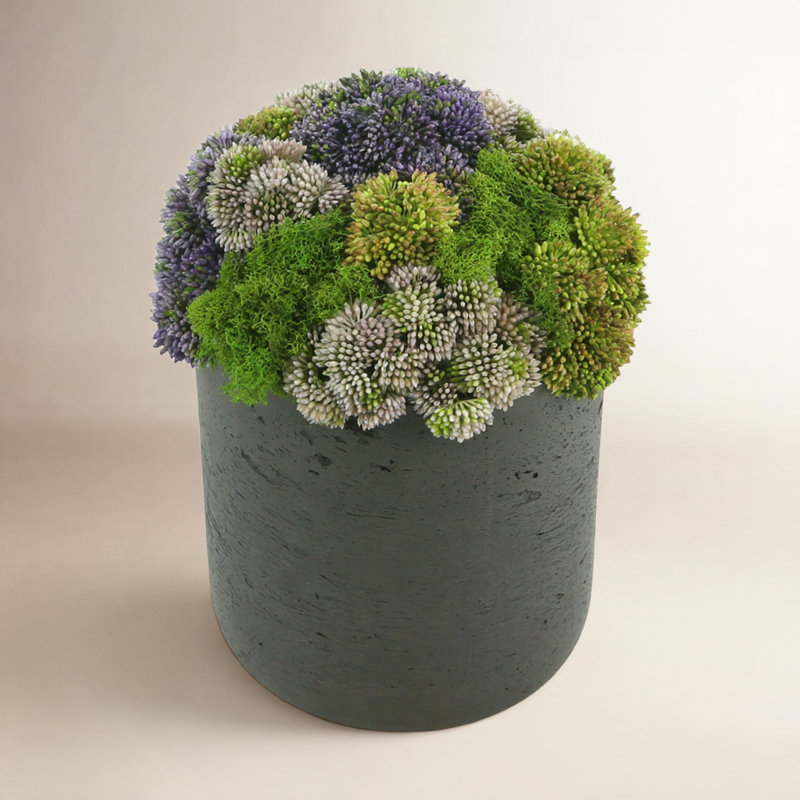 Sedum multicolore en pot de fleurs noir, H 11 po x l 9 po x P 9 po, Rond, Noir