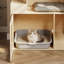 Litter Box