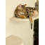 10" Clouds Wall Mounted Cat Perch-1431372500-1431372506