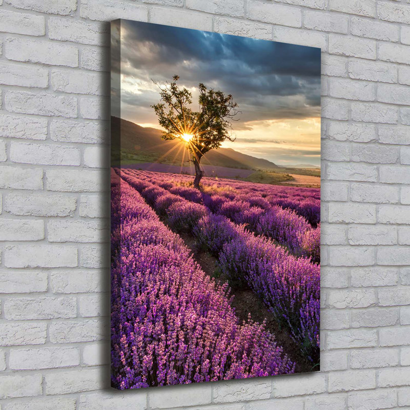 Lavender Field - Wrapped Canvas Print
