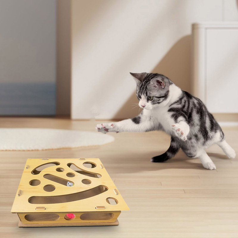 Scène de construction interactive avec boîte pour animaux de compagnie pour la stimulation et l'exercice mentaux, A