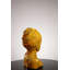 True African Beauty Yellow