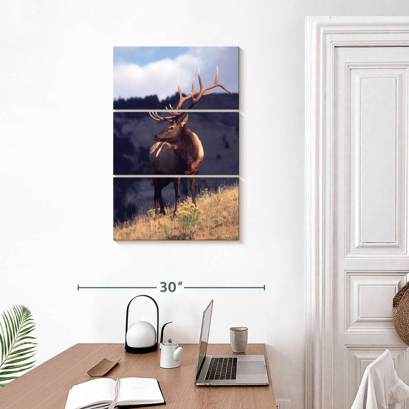 Wapiti de Brampt dans le Montana, H 32 po x l 20 po