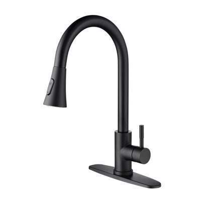Kitchen Faucet With Pull Out Spraye