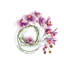 Orchid and Vine Arrangement in Glass Vase-44807556