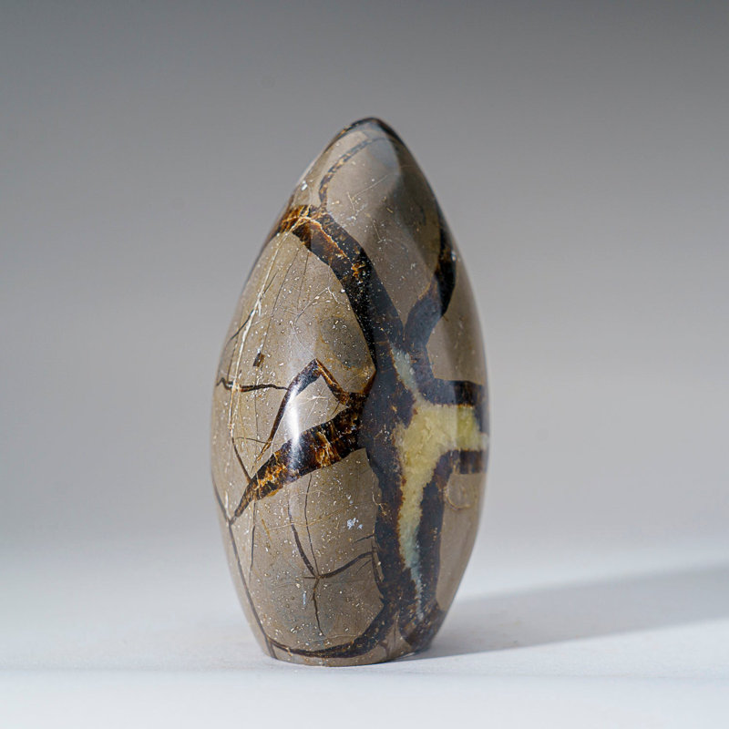 Polished Septarian Freeform From Madagascar (2 Lbs)
