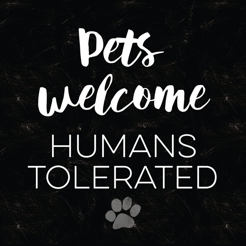 Pets Welcome 2 - Wrapped Canvas Print, 122cm H x 122cm W x 3.8cm D