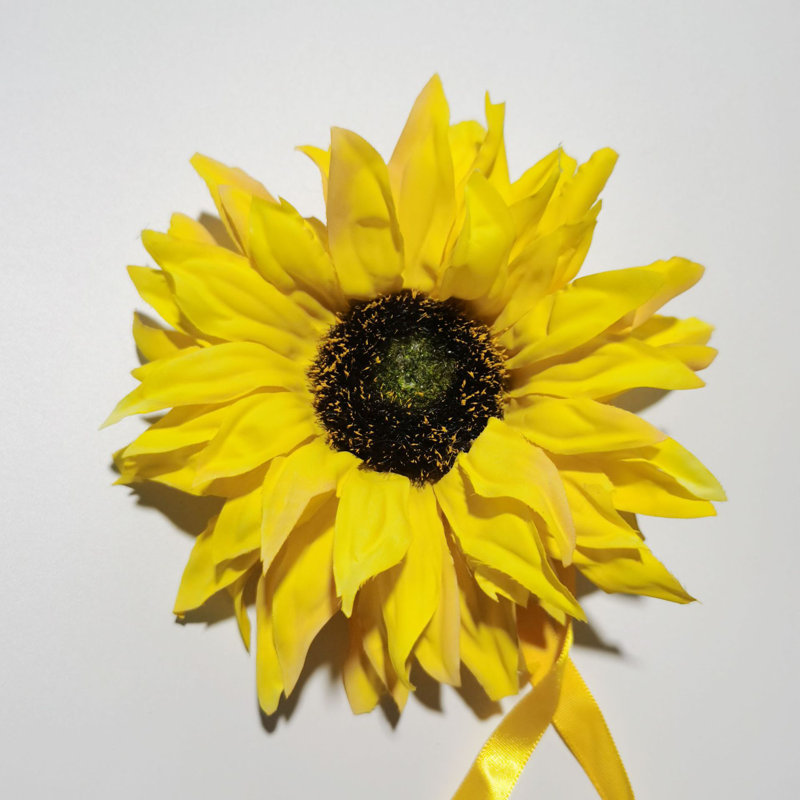  Embrasse Lonas, Jaune