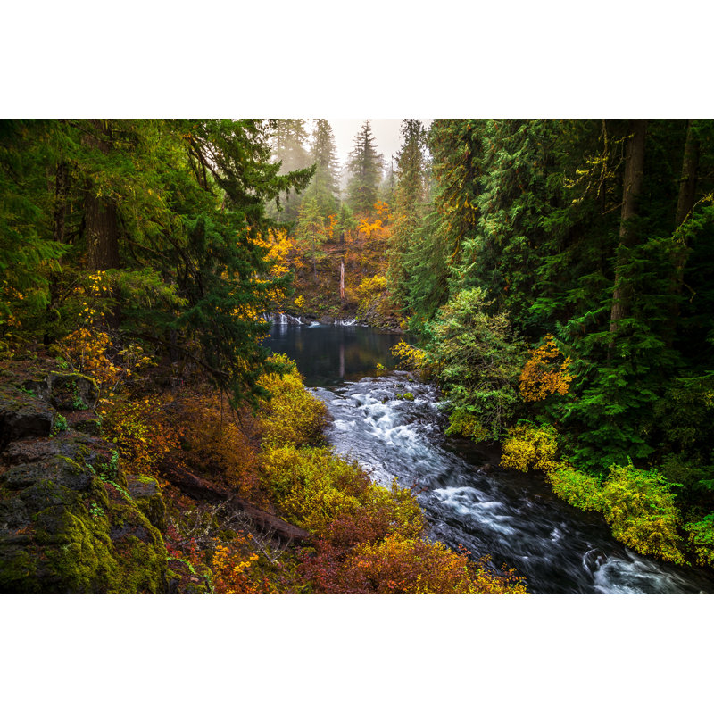 Tamolitch Blue Pool - Photographie sur toile tendue, H 8 po x l 12 po