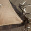 Ensemble d'édredon 100% coton Whitetail Ridge-24168619