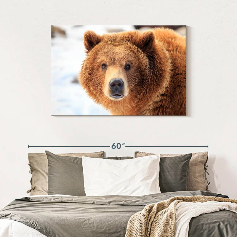 Grizzly Bear Stare, 30" H x 45" W
