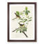 Yellow-Breasted Warbler Birds by John James Audubon - Picture Frame Graphic Art Print-55641817-55641812