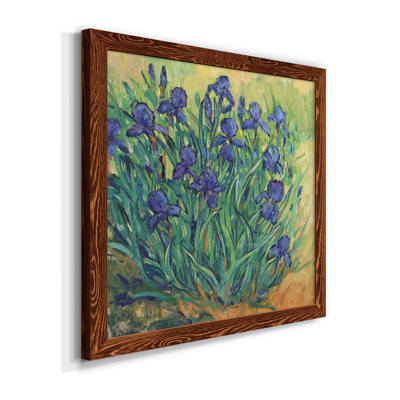 " Irises In Bloom II "