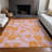 Machine Washable Indoor/Outdoor Chayden ACN1032 Rug-1270759862