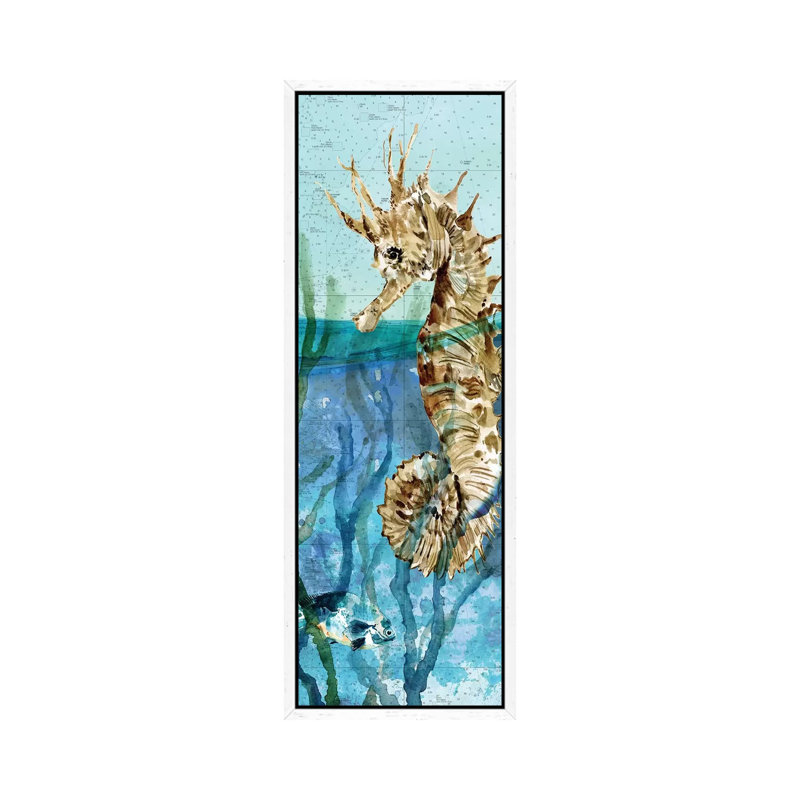 Pacific Seahorse by Carol Robinson - Panoramic Print on Canvas, 30.48 cm H x 91.44 cm W, White Framed