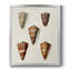 Toile encadrée de qualité supérieure Cone Shell Collection II - prête à être accrochée-853571639-853571638