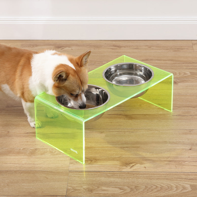 Mangeoire pour animaux Keaton, Moyen (6,76 tasses / 54 oz liquides), Vert / chrome