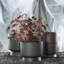Pot à fleurs en plastique recyclé-129012112-129012109